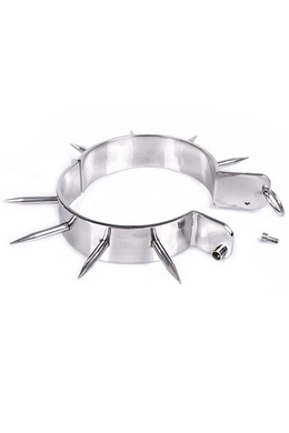 Chrome Metal Collar with Allen Key Lock - High Quality Bondage Accessory