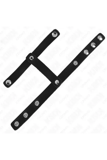 KINK Penis Rings: Control, Style, and Pleasure