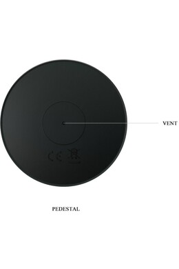 Anal Plug with Vibration and Remote Control | Pretty Love