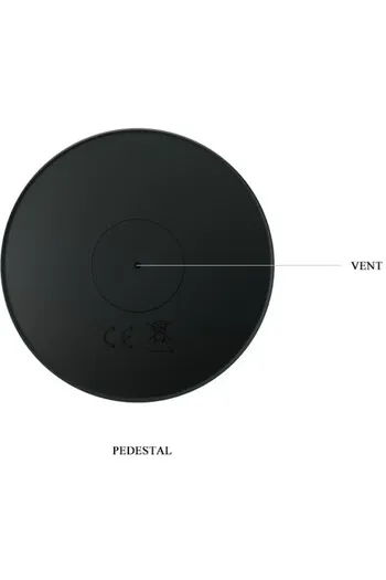 Anal Plug with Vibration and Remote Control | Pretty Love
