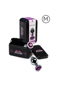 Plug Anale in Metallo per Sensazioni Intense