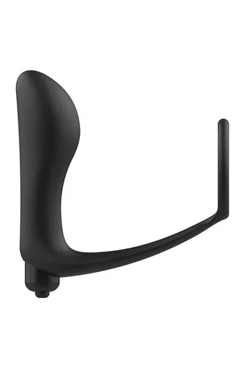 Anal Massager and Cock Ring ADDICTED TOYS - Explore Sexual Play