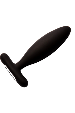 Vesta Anal Vibrator: Silky Smooth and Powerful