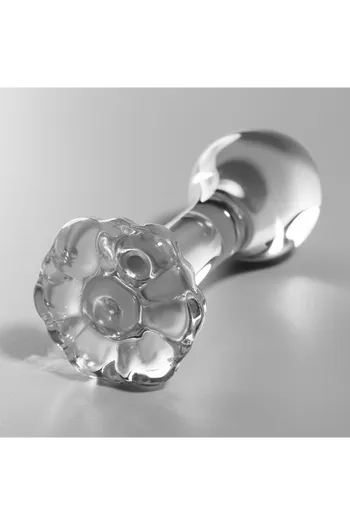 Plug Anale in Vetro Borosilicato - Esperienza di Lusso