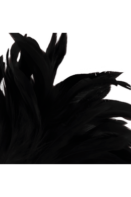 DARKNESS - PENNA STIMOLANTE LUX NERA