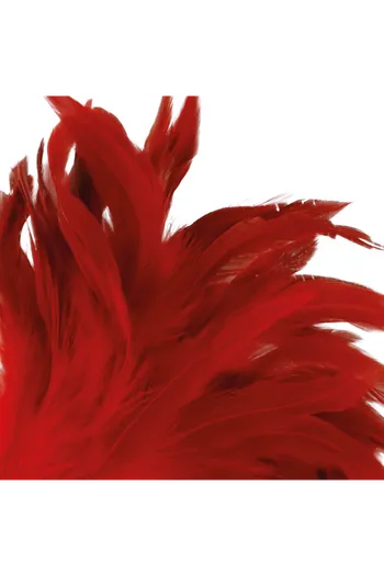 DARKNESS - PENNA STIMOLANTE ROSSA 24CM