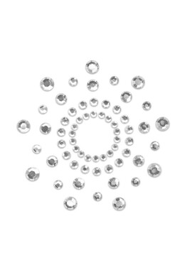 Sensual Silver Nipple Covers