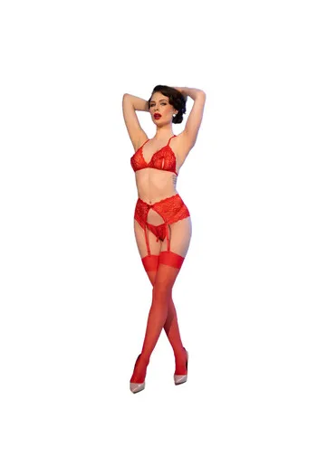Red lace lingerie set with garter belt and thong