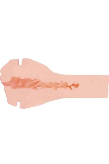 Wet Kitten Self Lube To Go di PRIVATE: Masturbatore Autolubrificante da Viaggio