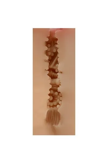 SHEQU Handheld Vagina Masturbators: Realistic & Intense Pleasure