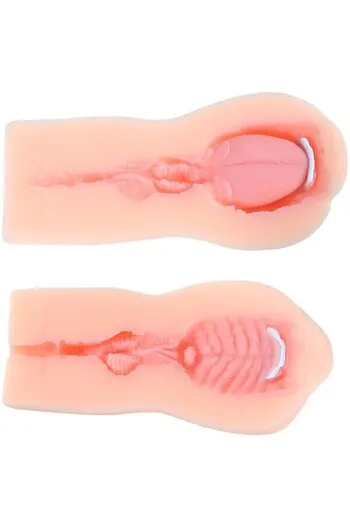 Mouth-shaped masturbator with suction and vibration