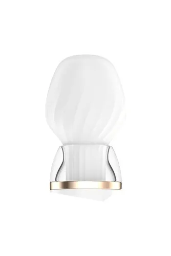 Satisfyer Double Wand-er: Massaggiatore con Controllo App e 2 Testine Intercambiabili