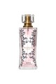 PheroStrong Pheromone Perfume for Women | Attract and Seduce