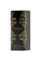 PheroStrong Pheromone Perfume for Women | Attract and Seduce
