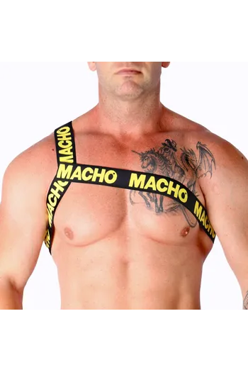 Elastic Roman Harness - Innovation in Fashion and Comfort | Buy Now