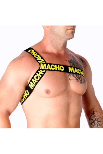 Elastic Roman Harness - Innovation in Fashion and Comfort | Buy Now