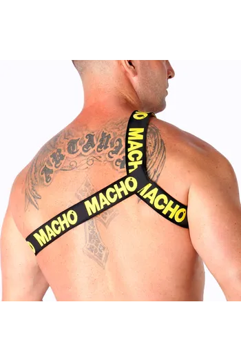 Elastic Roman Harness - Innovation in Fashion and Comfort | Buy Now