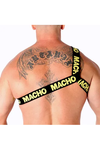 Elastic Roman Harness - Innovation in Fashion and Comfort | Buy Now