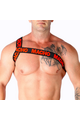 Elastic Roman Harness - Innovation in Fashion and Comfort | Buy Now