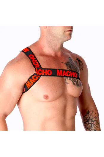 Elastic Roman Harness - Innovation in Fashion and Comfort | Buy Now