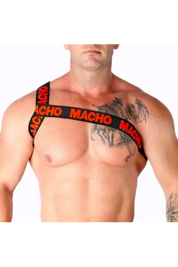 Elastic Roman Harness - Innovation in Fashion and Comfort | Buy Now