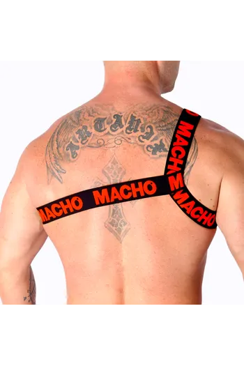 Elastic Roman Harness - Innovation in Fashion and Comfort | Buy Now