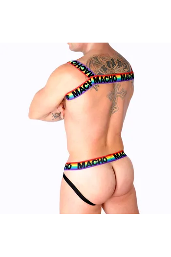 Elastic Roman Harness - Innovation in Fashion and Comfort | Buy Now