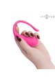 Intense Vibrating Egg: Comfortable Internal Stimulation