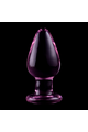 Plug Anale in Vetro Borosilicato - Esperienza di Lusso