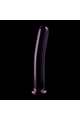 Plug Anale in Vetro Borosilicato - Esperienza Sensoriale Premium